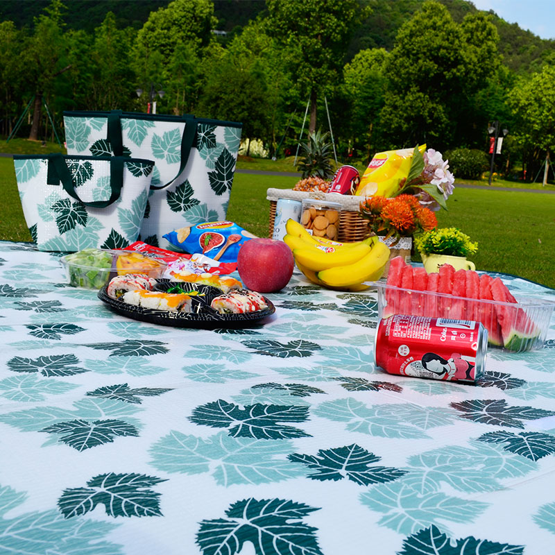 Outdoor picnic mat insulation bag